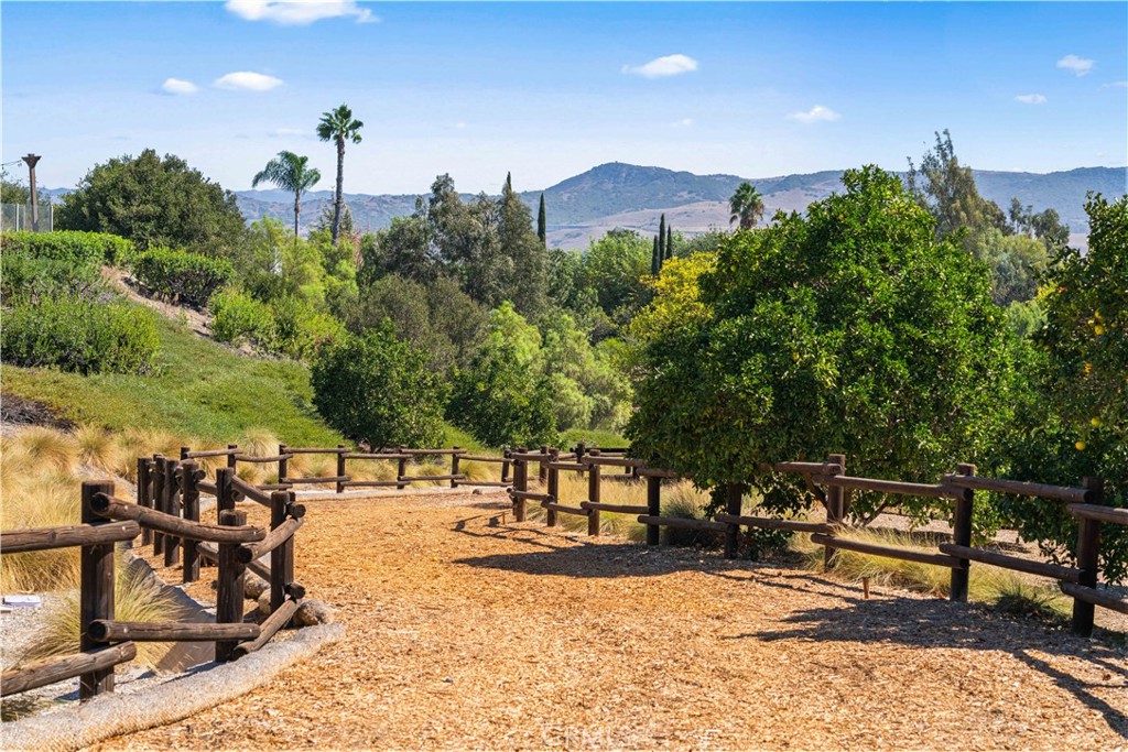 27381 Via Priorato, San Juan Capistrano CA 92675 - photo 63