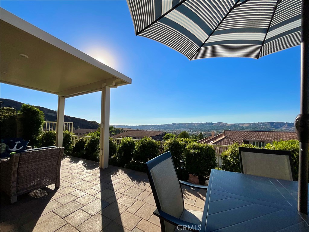 and more views... - 27585 Paseo Segovia, San Juan Capistrano CA 92675 - photo 37