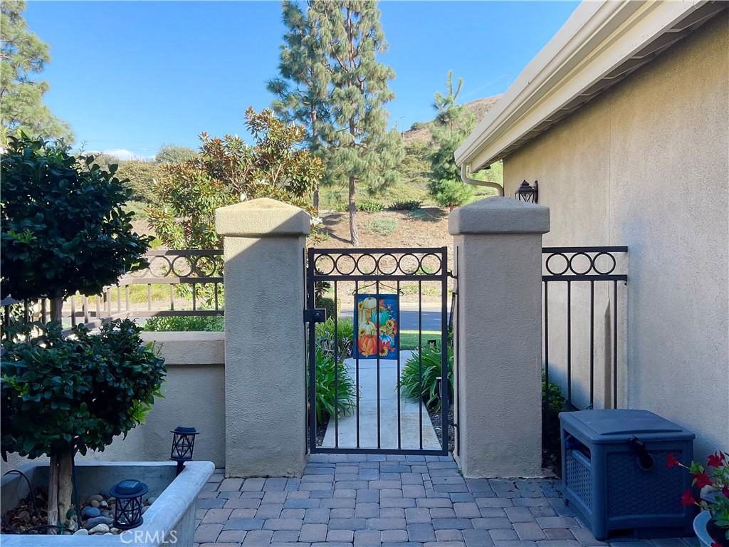 27585 Paseo Segovia, San Juan Capistrano CA 92675 - photo 43
