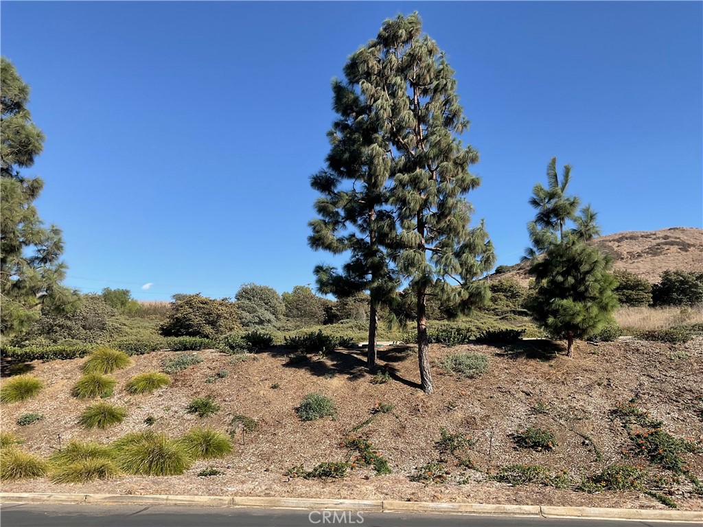 No one in front of you. - 27585 Paseo Segovia, San Juan Capistrano CA 92675 - photo 44