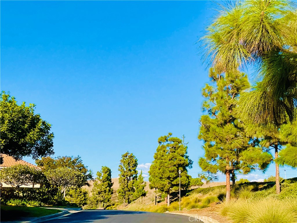 27585 Paseo Segovia, San Juan Capistrano CA 92675 - photo 45