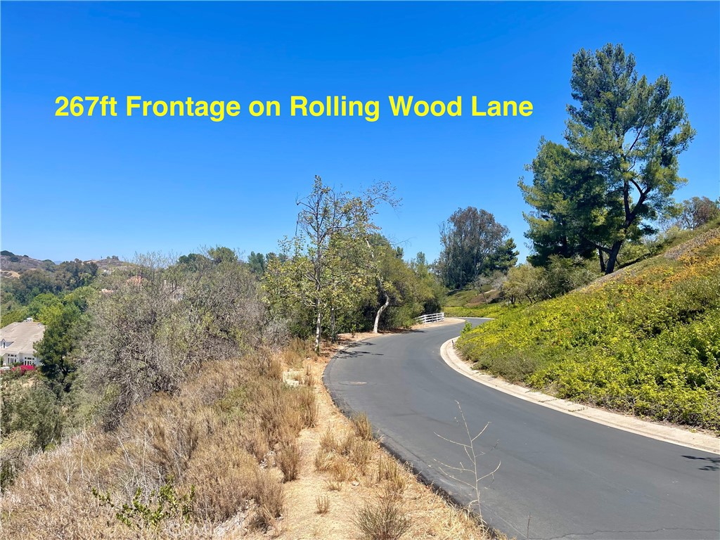 27591 Rolling Wood Lane, San Juan Capistrano CA 92675 - photo 10