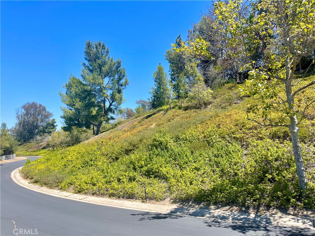 27591 Rolling Wood Lane, San Juan Capistrano CA 92675 - photo 16