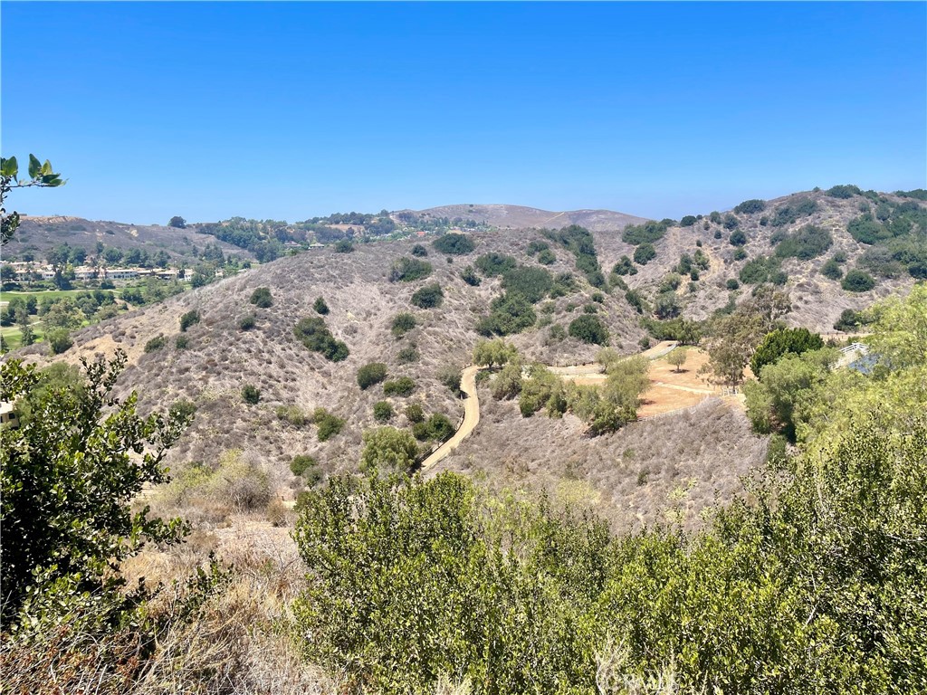 27591 Rolling Wood Lane, San Juan Capistrano CA 92675 - photo 23