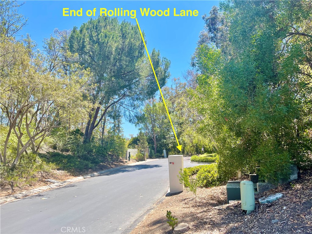 27591 Rolling Wood Lane, San Juan Capistrano CA 92675 - photo 37
