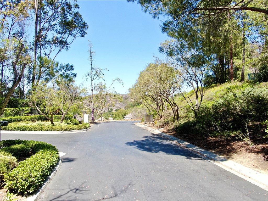 27591 Rolling Wood Lane, San Juan Capistrano CA 92675 - photo 38