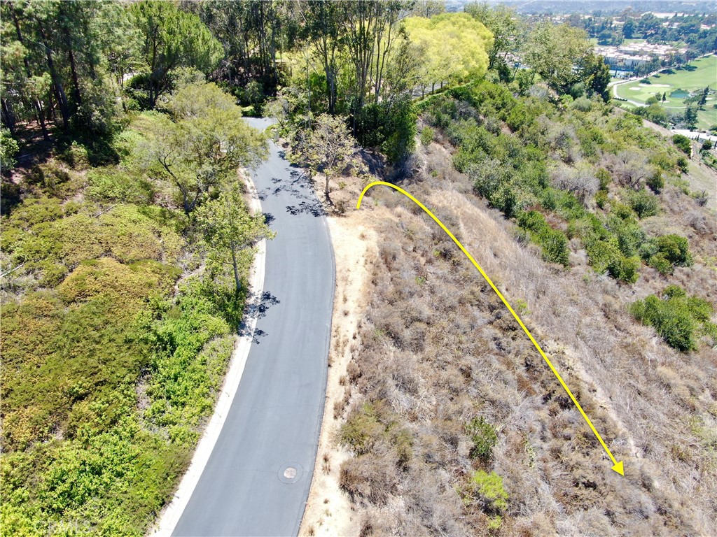 27591 Rolling Wood Lane, San Juan Capistrano CA 92675 - photo 41