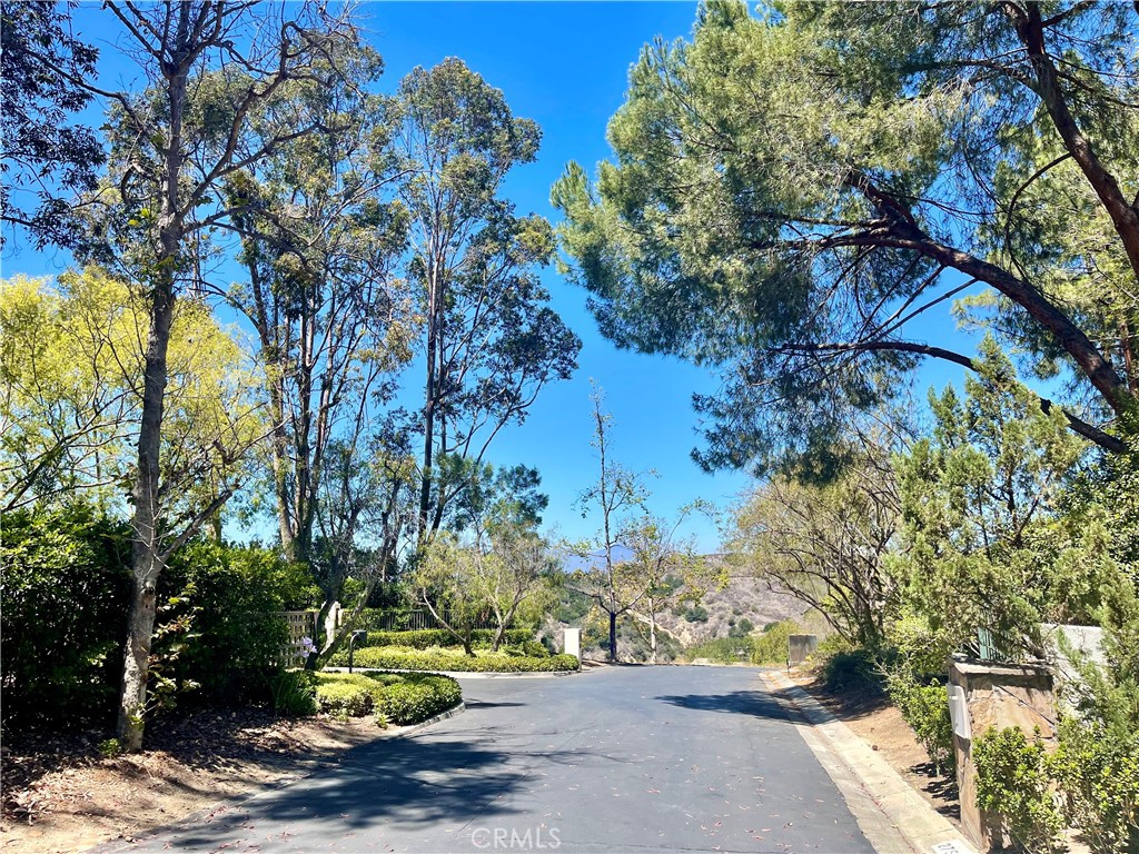 27591 Rolling Wood Lane, San Juan Capistrano CA 92675 - photo 45