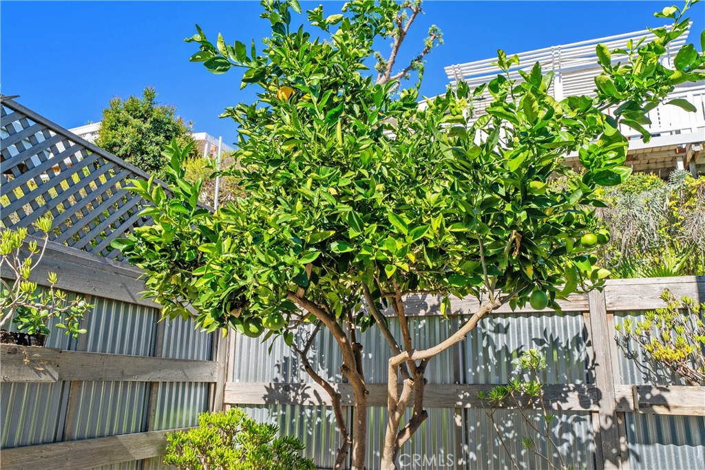 27703 Ortega Highway 115, San Juan Capistrano CA 92675 - photo 36