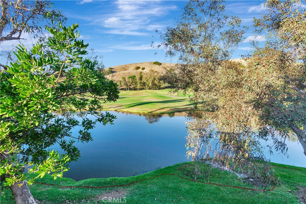 27941 Via De Costa, San Juan Capistrano CA 92675 - photo 5