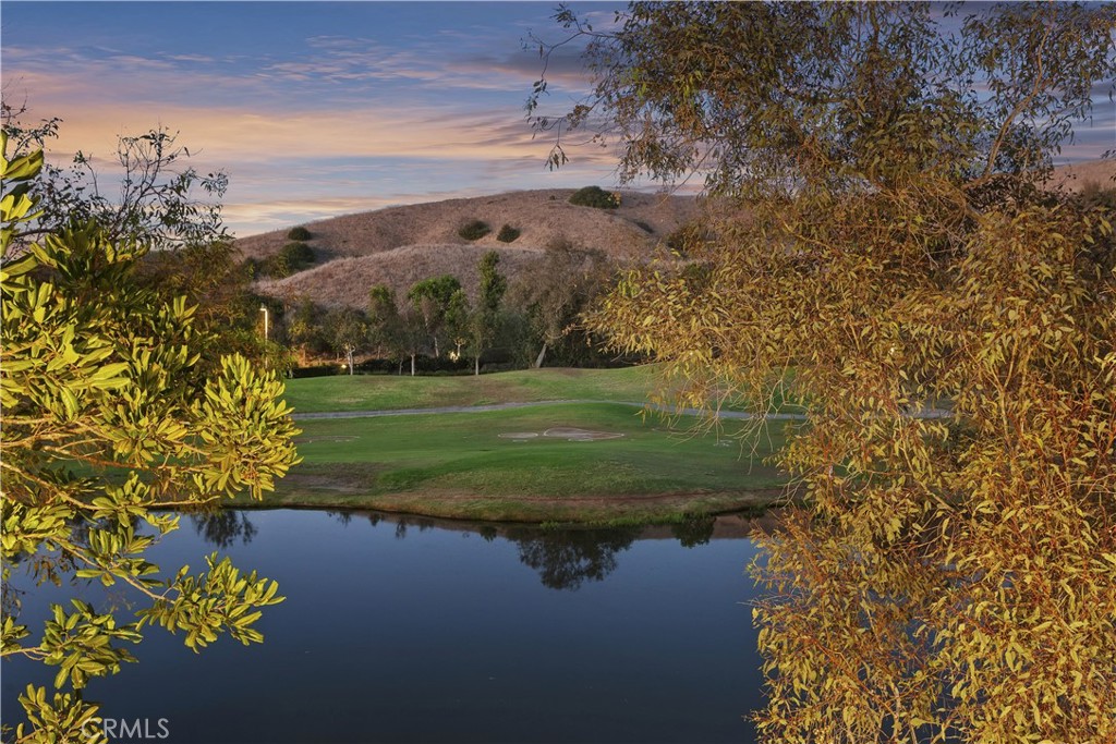 Beautiful sunset View from Patio! - 27941 Via De Costa, San Juan Capistrano CA 92675 - photo 32