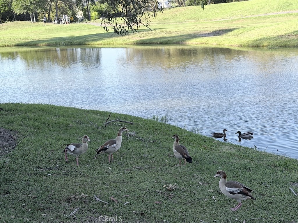 Wildlife Friends - 27951 Via De Costa, San Juan Capistrano CA 92675 - photo 48
