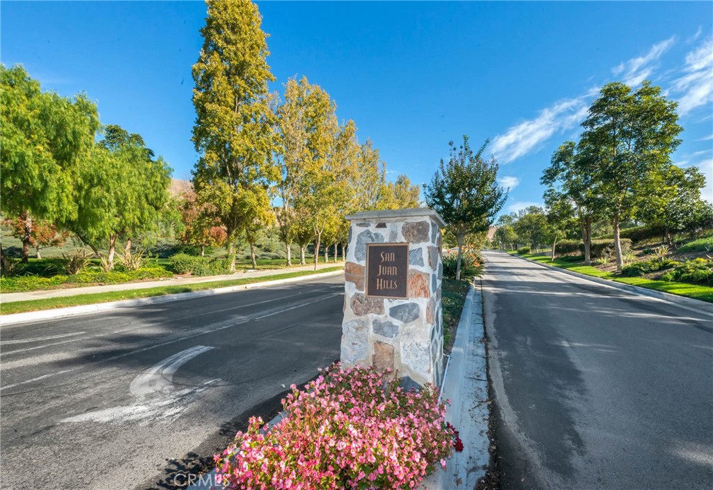 27971 Via De Costa, San Juan Capistrano CA 92675 - photo 41