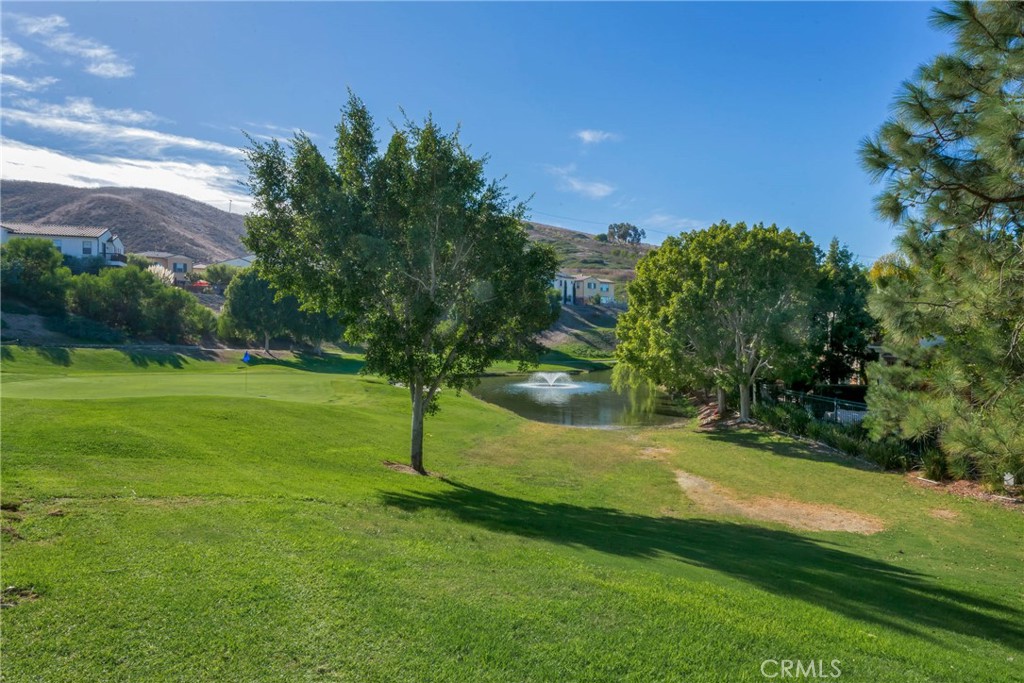 27971 Via De Costa, San Juan Capistrano CA 92675 - photo 44