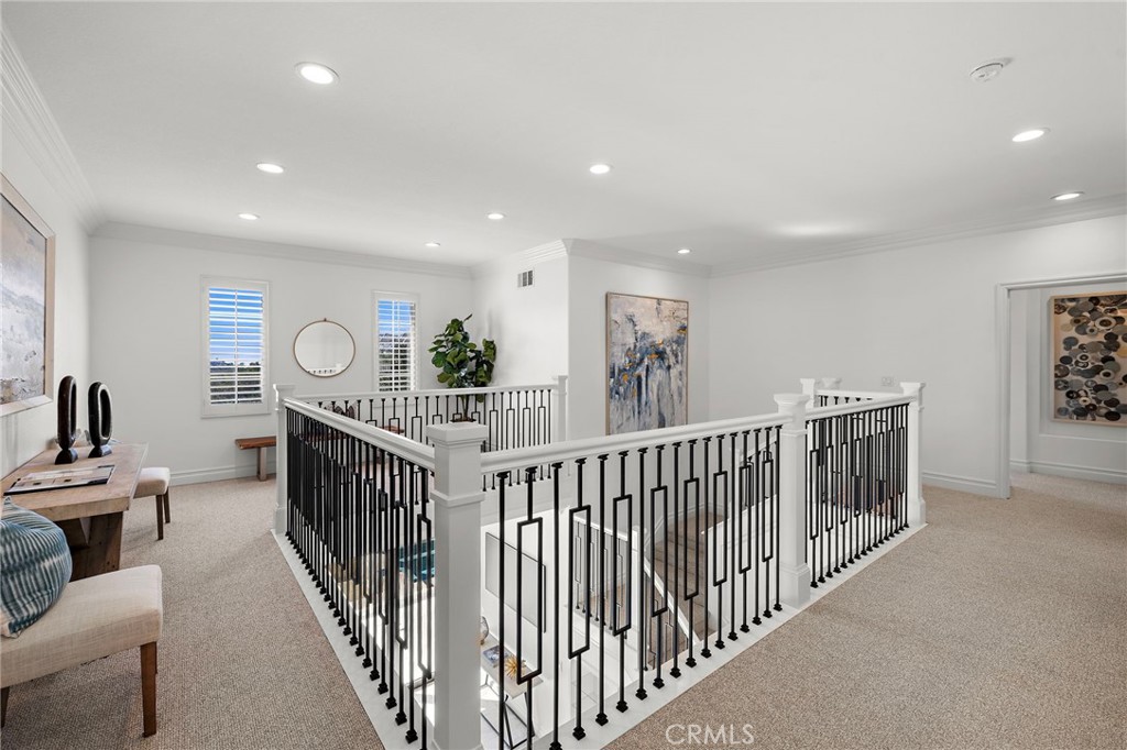Expanded Parameter Cat Walk - 28301 Oceana Del Mar, San Juan Capistrano CA 92675 - photo 39