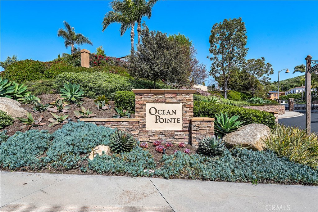 28301 Oceana Del Mar, San Juan Capistrano CA 92675 - photo 62
