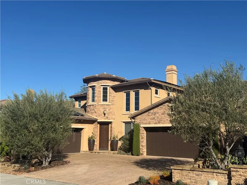 29321 Paseo Palmar, San Juan Capistrano, CA 92675