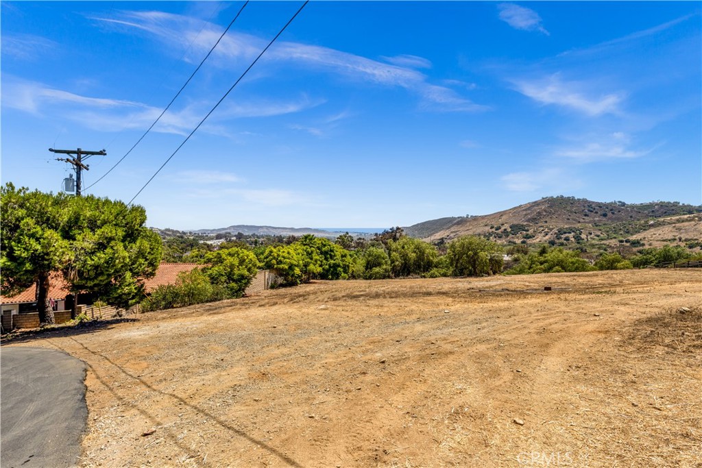 Substantial portion of the lot is flat and justified to the street. - 29600 Spotted Bull Lane, San Juan Capistrano CA 92675 - photo 12