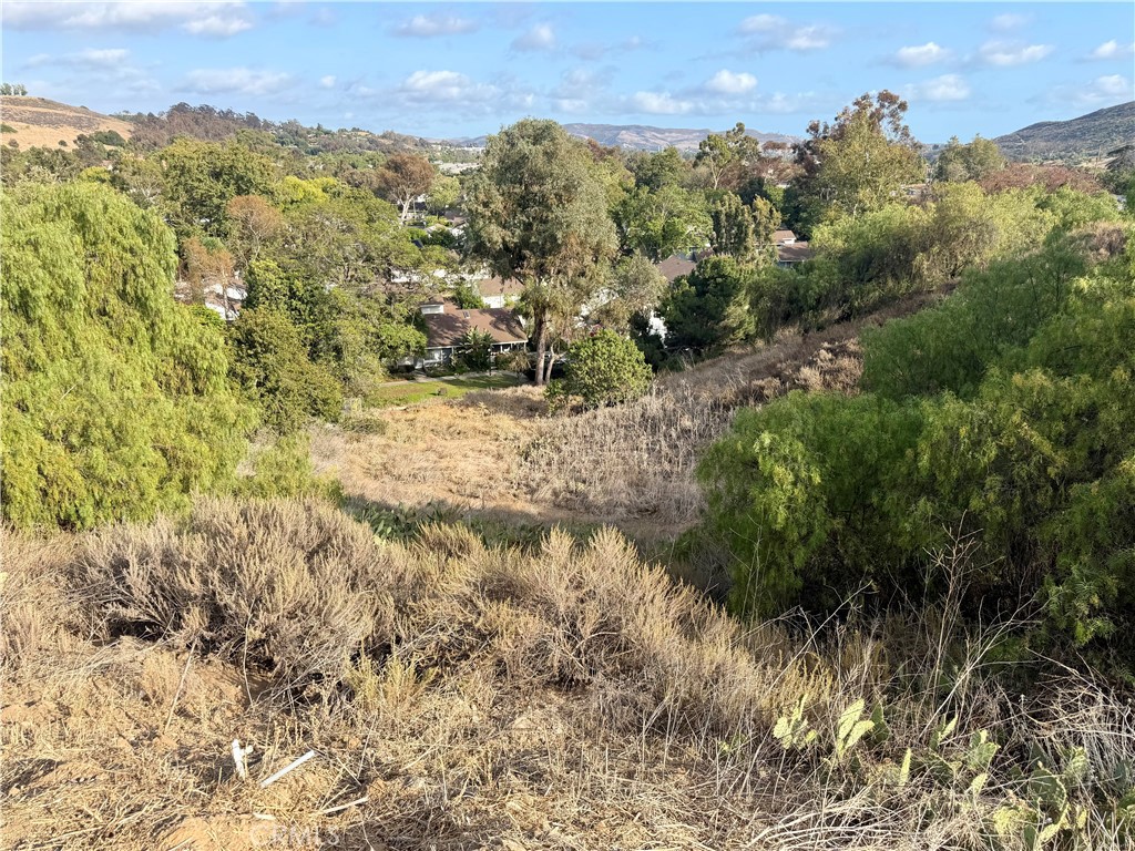 Lower section of the lot. - 29600 Spotted Bull Lane, San Juan Capistrano CA 92675 - photo 15
