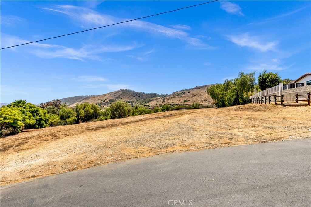 29600 Spotted Bull Lane, San Juan Capistrano CA 92675 - photo 16