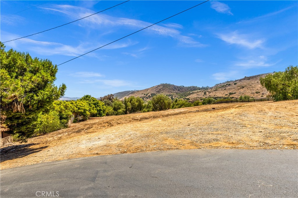 29600 Spotted Bull Lane, San Juan Capistrano CA 92675 - photo 17