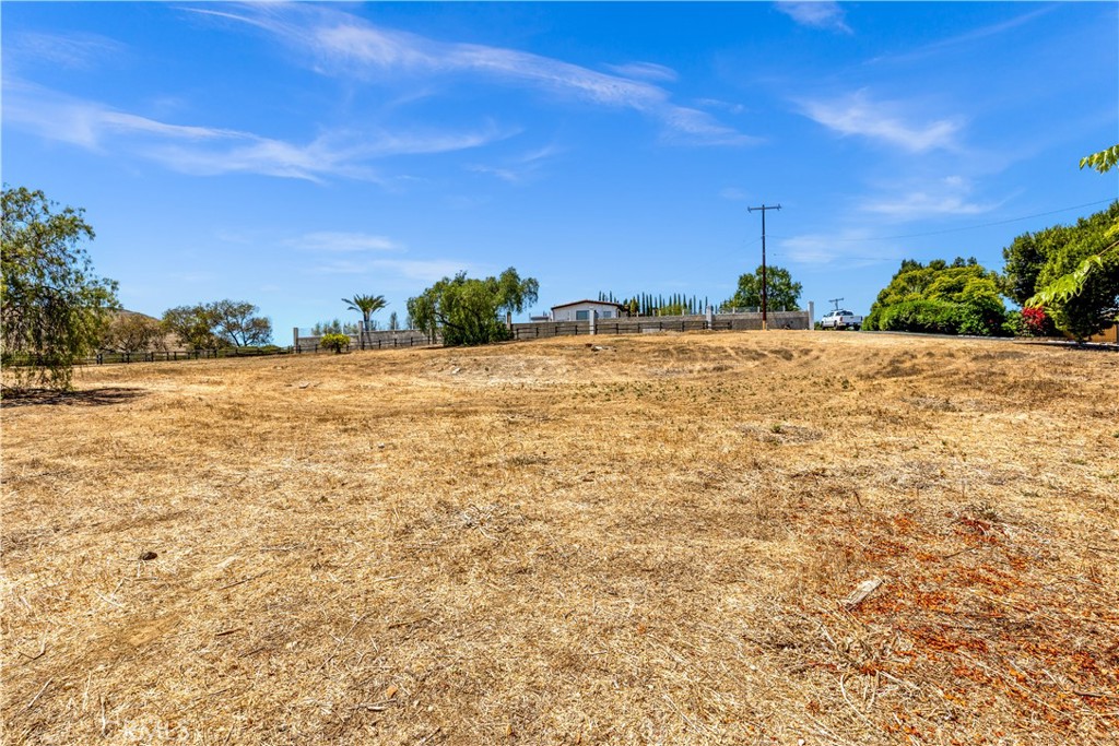 29600 Spotted Bull Lane, San Juan Capistrano CA 92675 - photo 19