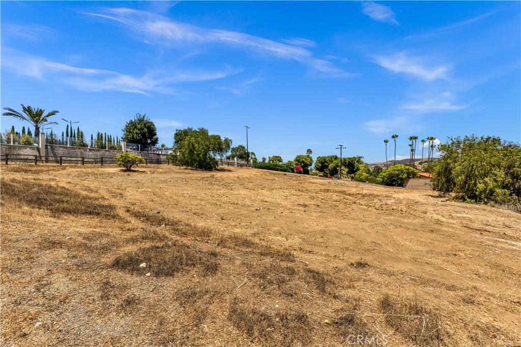 29600 Spotted Bull Lane, San Juan Capistrano CA 92675 - photo 20