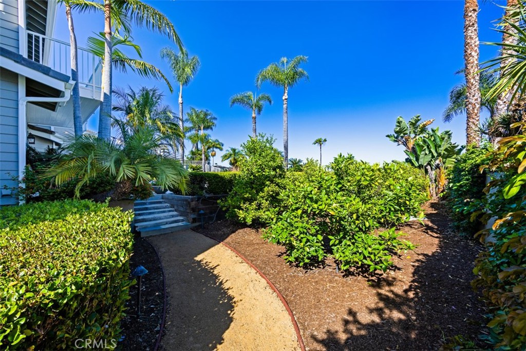 29902 Hillside Terrace, San Juan Capistrano CA 92675 - photo 52