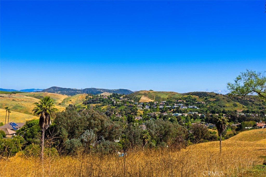 Open space behind home - 29902 Hillside Terrace, San Juan Capistrano CA 92675 - photo 59