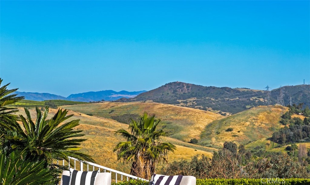 29902 Hillside Terrace, San Juan Capistrano CA 92675 - photo 61