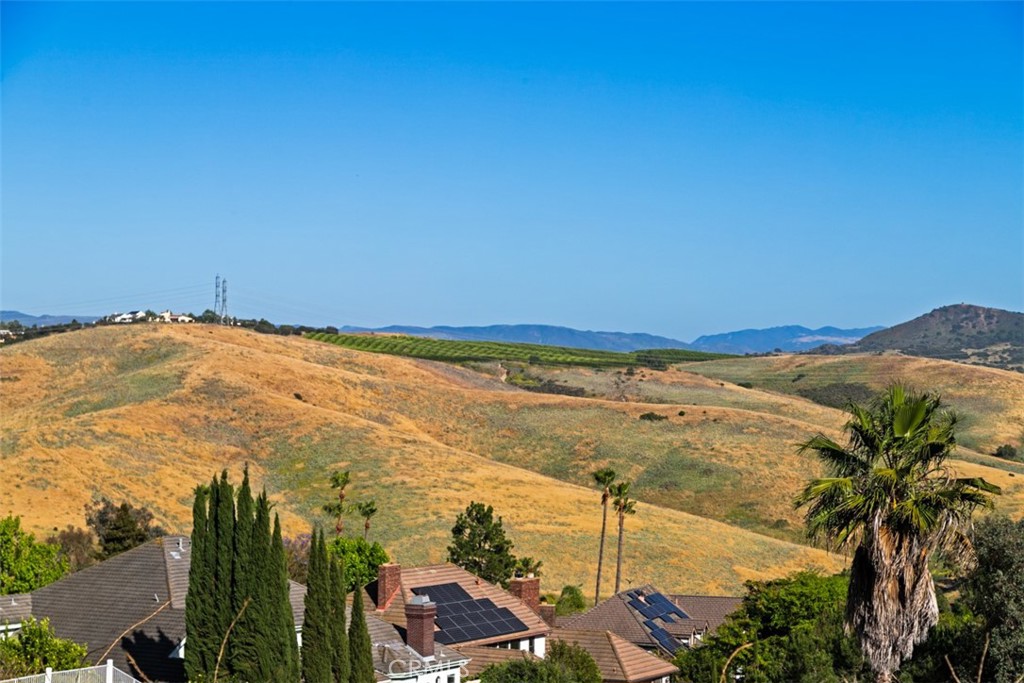 29902 Hillside Terrace, San Juan Capistrano CA 92675 - photo 62
