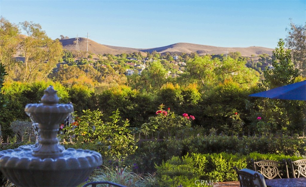 30977 Steeplechase, San Juan Capistrano CA 92675 - photo 69