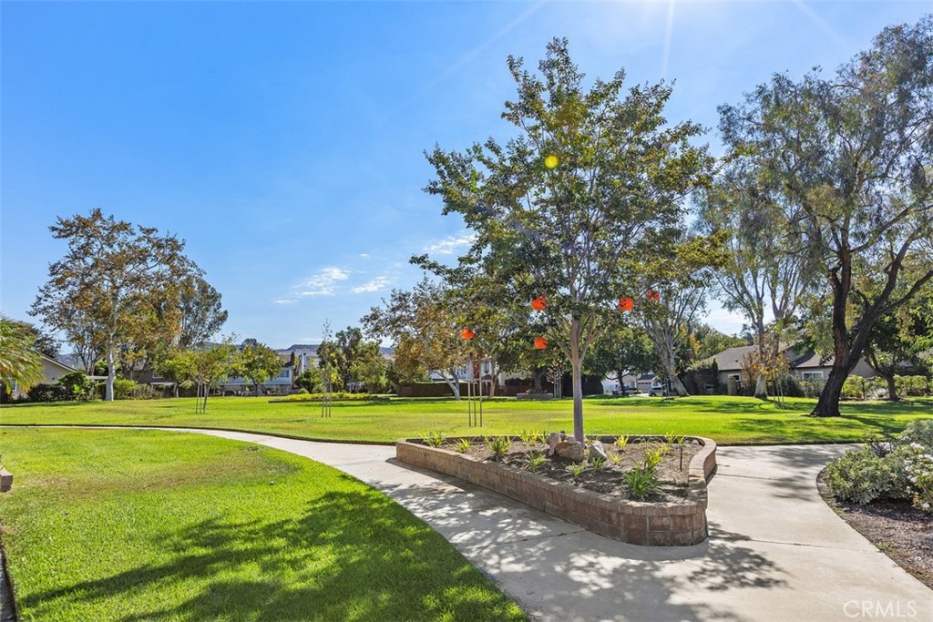 31111 Via Sonora, San Juan Capistrano CA 92675 - photo 35