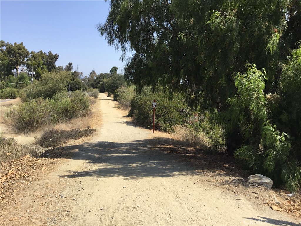 Miles of Bridle trials and multiple equestrian facilities - 31111 Via Sonora, San Juan Capistrano CA 92675 - photo 38
