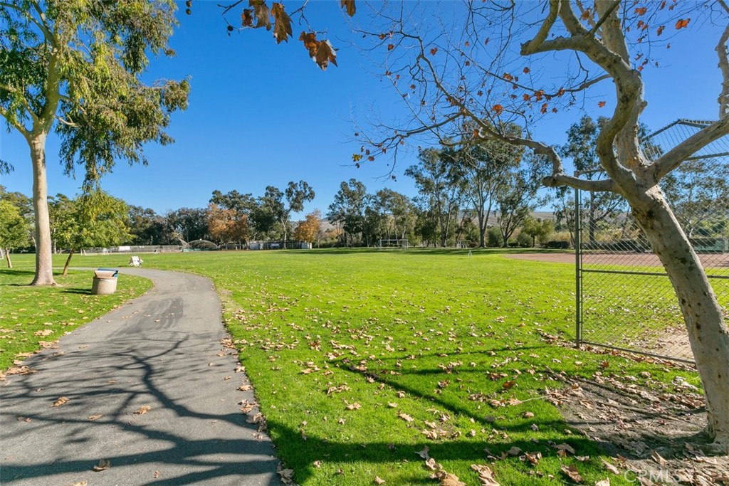 31111 Via Sonora, San Juan Capistrano CA 92675 - photo 42
