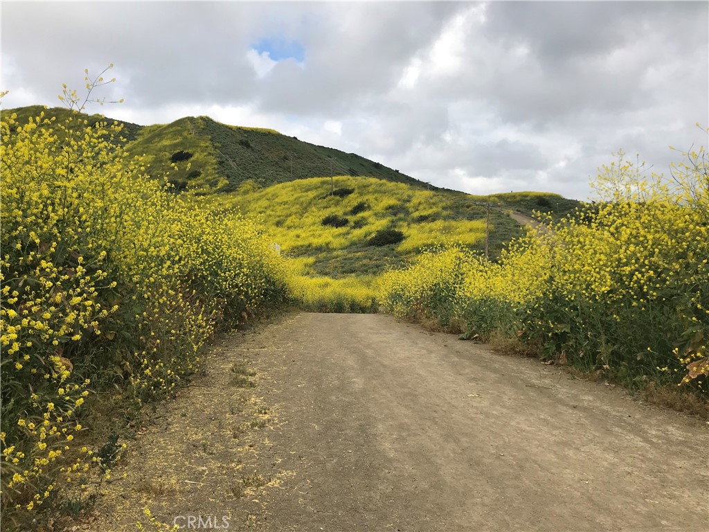 Enjoy proximity to scenic trails, rolling hills, and the picturesque outdoor setting of San Juan Capistrano. - 31251 Calle Bolero, San Juan Capistrano CA 92675 - photo 69