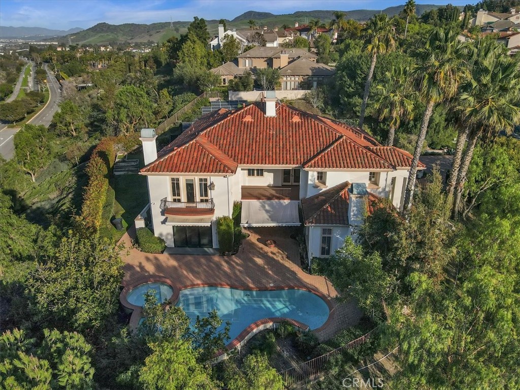 Beautiful backyard surrounded by mature trees for added privacy - 31378 Juliana Farms Road, San Juan Capistrano CA 92675 - photo 49
