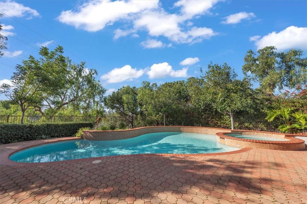 Privacy - 31378 Juliana Farms Road, San Juan Capistrano CA 92675 - photo 53