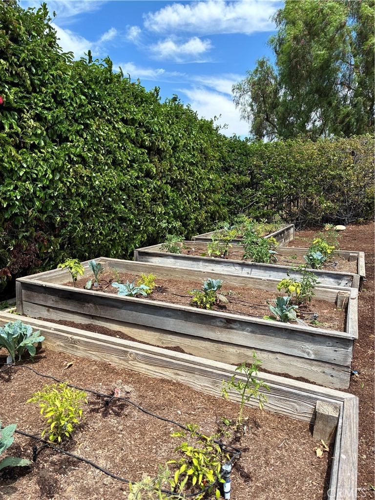 Spacious backyard garden area, perfect for growing fresh vegetables, herbs, and more. - 31378 Juliana Farms Road, San Juan Capistrano CA 92675 - photo 56