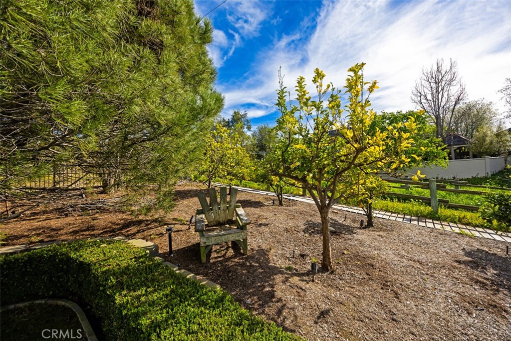31445 Juliana Farms Road, San Juan Capistrano CA 92675 - photo 46