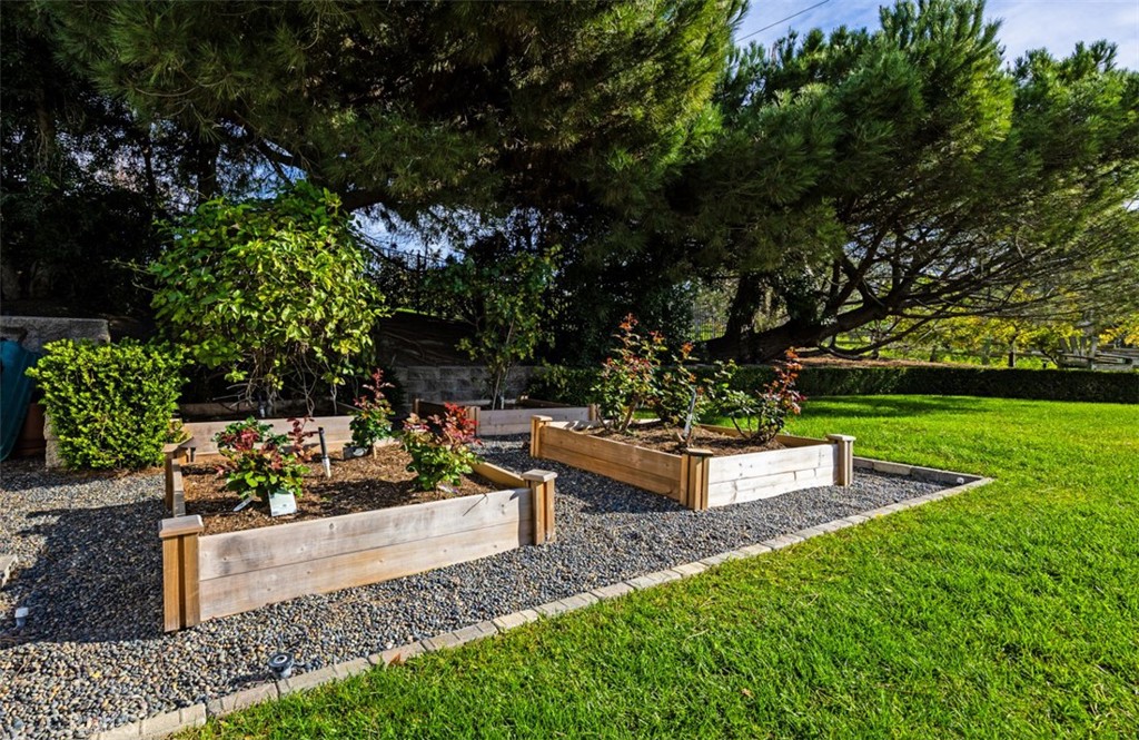 Raised planters for gardening - 31445 Juliana Farms Road, San Juan Capistrano CA 92675 - photo 56