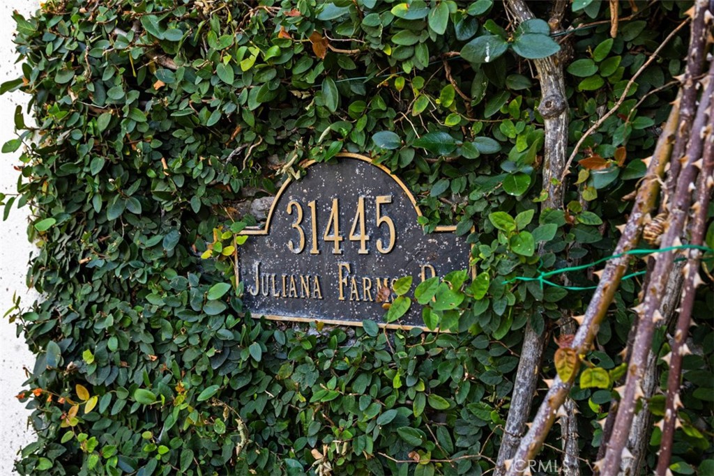 31445 Juliana Farms Road, San Juan Capistrano CA 92675 - photo 62
