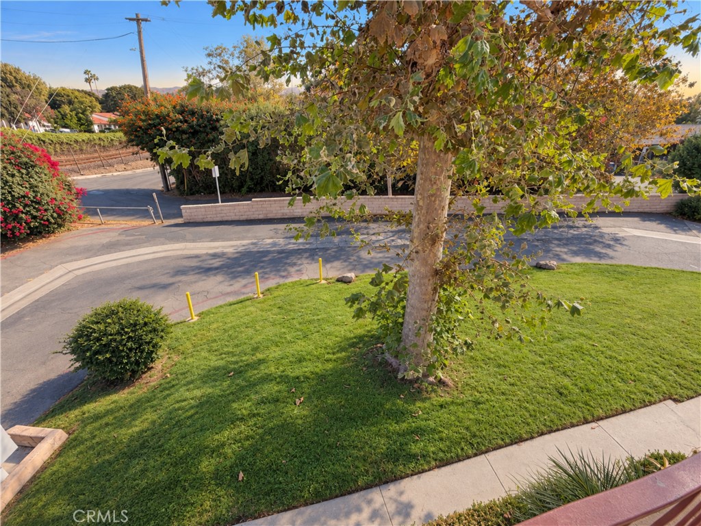 Large grassy area out front - 31608 Los Rios, San Juan Capistrano CA 92675 - photo 14