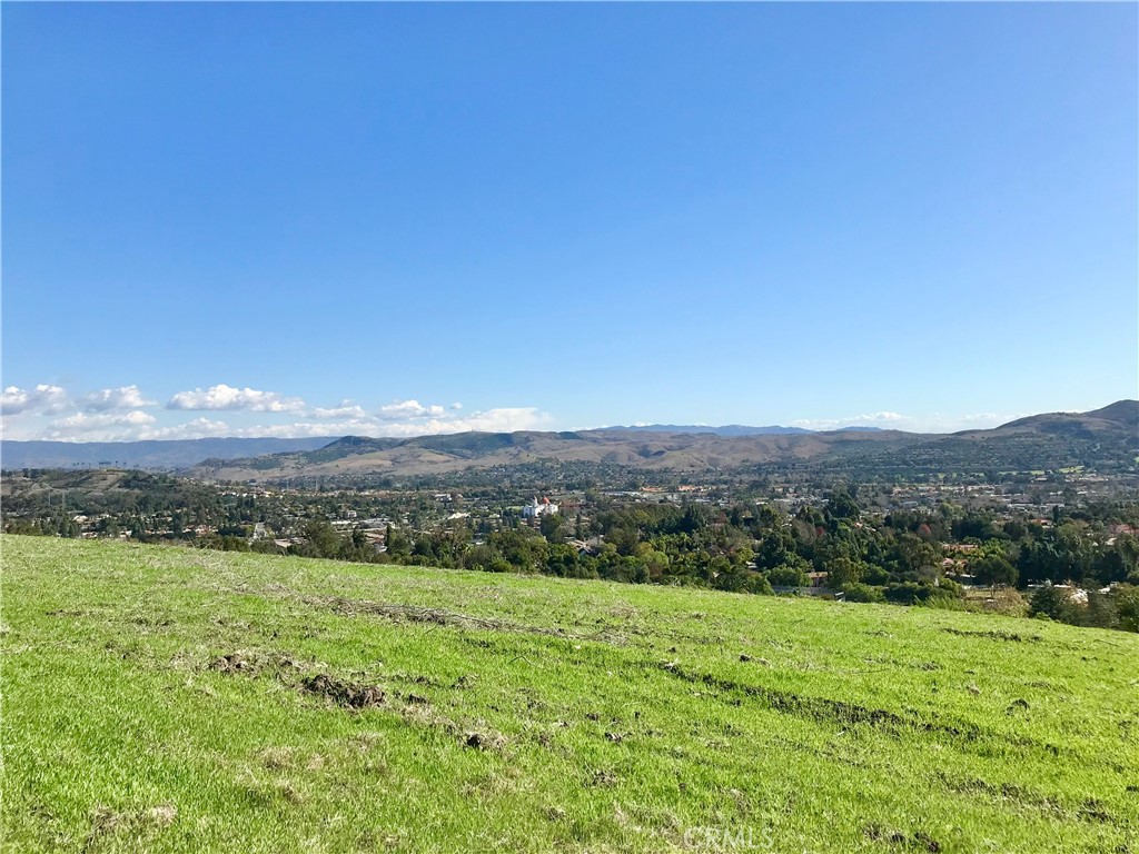 31641 Peppertree Bend, San Juan Capistrano CA 92675 - photo 10