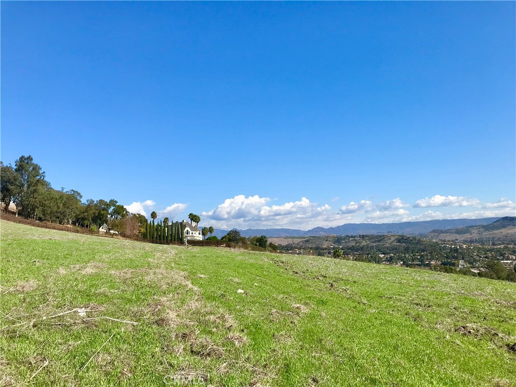 31641 Peppertree Bend, San Juan Capistrano CA 92675 - photo 11