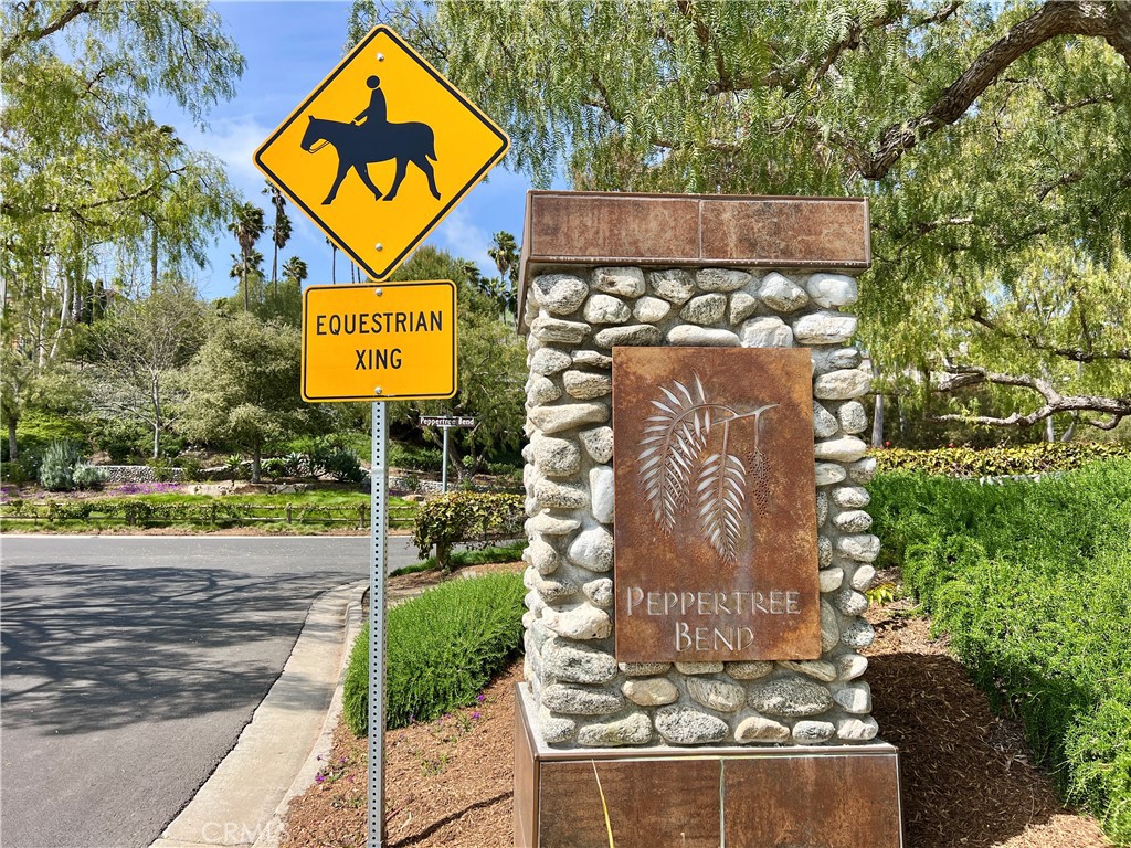 San Juan Capistrano has about 40 miles of recreational trails, including an impressive network of equestrian trails. - 31641 Peppertree Bend, San Juan Capistrano CA 92675 - photo 14