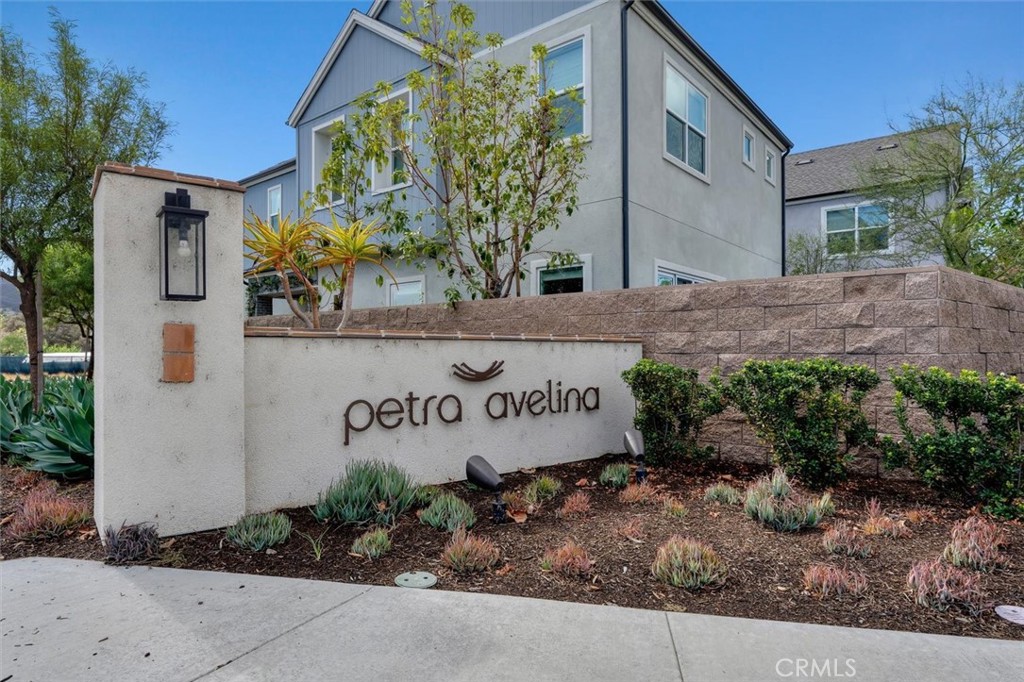 32053 Paseo Vienta, San Juan Capistrano CA 92675 - photo 50