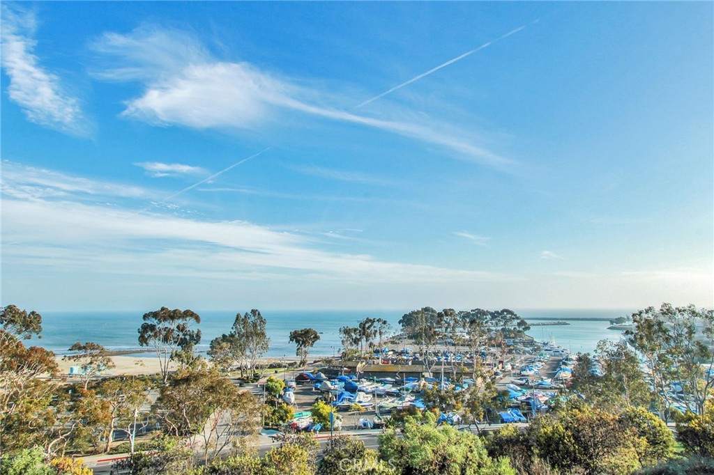 Dana Point Harbor undergoing a billion dollar renovation is fabulous! - 32302 Alipaz 292, San Juan Capistrano CA 92675 - photo 30