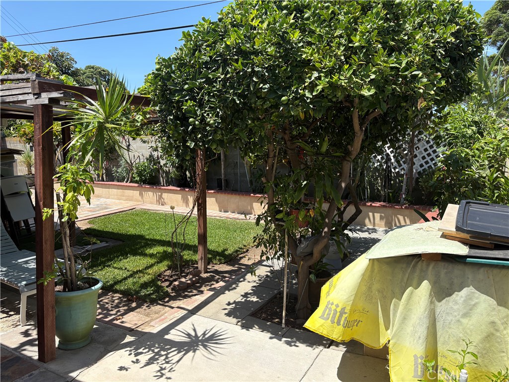 Backyard - 1622 S Pacific, Santa Ana CA 92704 - photo 30