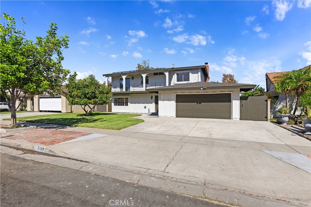 Front of house, XL driveway, and Avocado tree - 3709 S Olive Street, Santa Ana CA 92707 - photo 12
